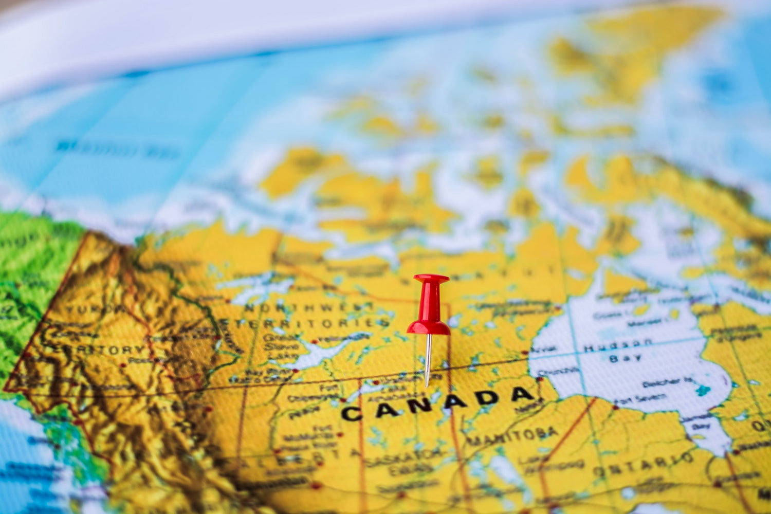 Canada Map Chicken Salt The Salted Rooster